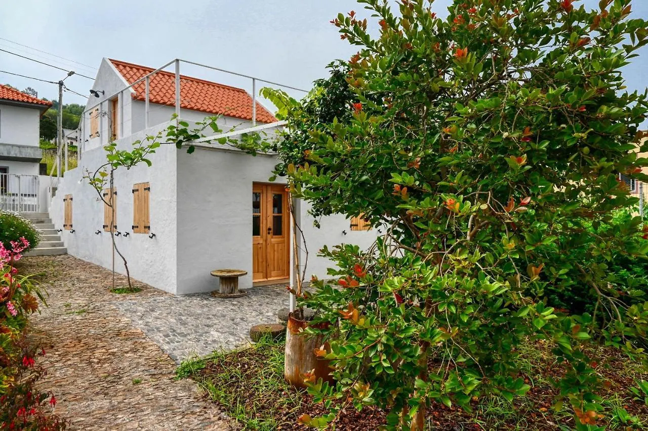 O Lagar Do Avo, A Home In Madeira São Jorge Feriehus